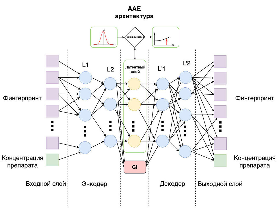 Схема нейросети, созданной в МФТИ, Mail.ru и компании InSilico