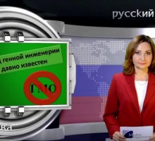 Козлова Анна Валерьевна - Острые вопросы здравоохранения