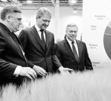Ростовская область обновляет рекорд урожая четвёртый год подряд