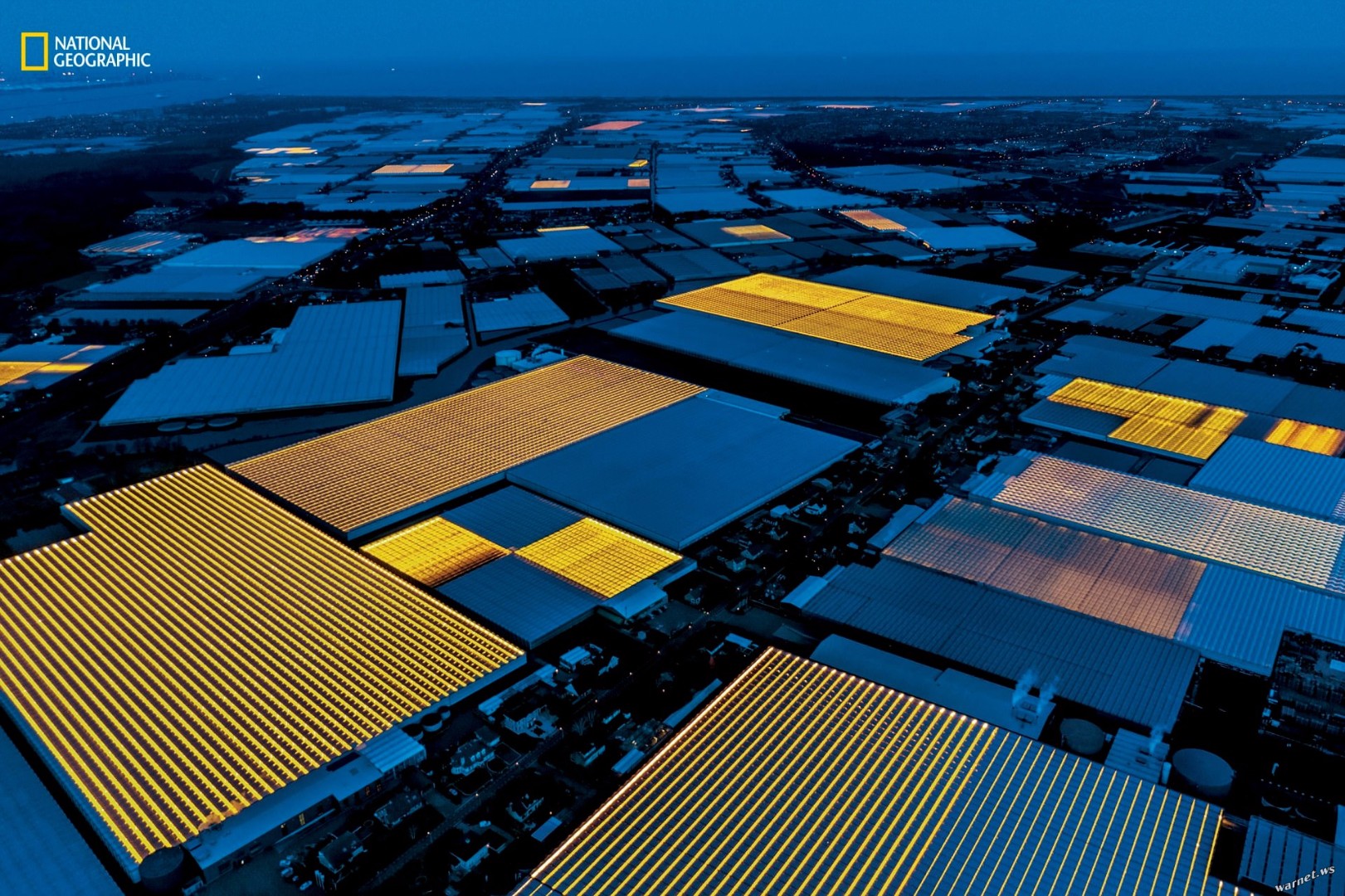 Инновационные фермы Нидерландов