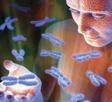 ДНК - это квантовый биокомпьютер