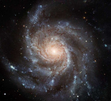 ALMA обнаружила гнездо молодых галактик в паутине тёмной материи