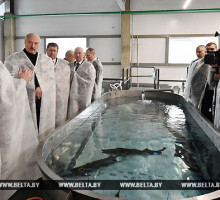Лукашенко ознакомился с производством в Беларуси чёрной икры
