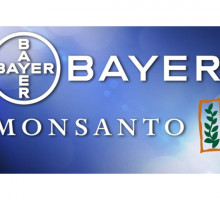 Байер купил Монсанто: Крупнейшая сделка в истории мирового агробизнеса