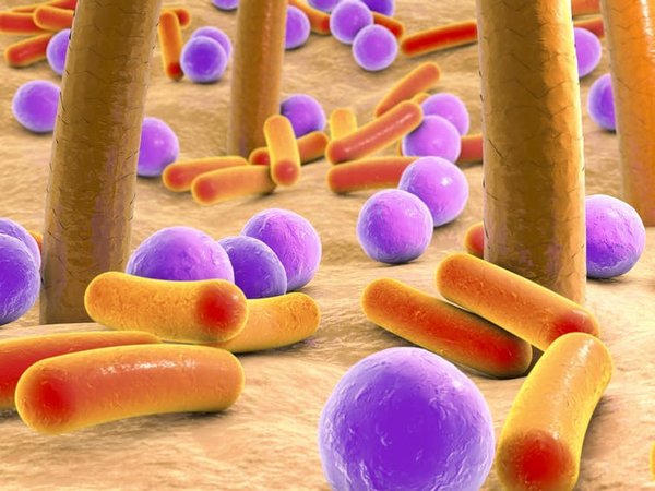 Бактерии на нашей коже выделяют запах, привлекающий комаров / Shutterstock