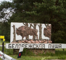 Следующая остановка — Белоруссия: высланных из ЕС беженцев примет Минск