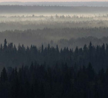 В Прибайкалье продолжает развиваться лесопожарная катастрофа