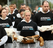 Защитники животных оказались глобальной спецслужбой с кровавой историей