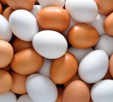 Чем отличаются коричневые яйца от белых
