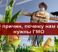 Госдума запретила выращивать в РФ генно-модифицированные растения и животных