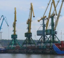 Импортозамещение: ввоз продуктов в Россию сократился на 42 процента