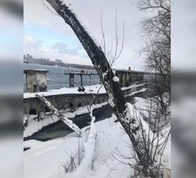Первый экодук в России построят под Калугой