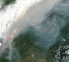 Снимки NASA подтверждают: пожары в Сибири видны из космоса