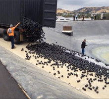 Лос-Анджелес выбросил миллионы пластиковых шариков в водохранилище для очистки воды
