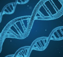 Квантовые процессы приводят к появлению мутаций в структуре ДНК