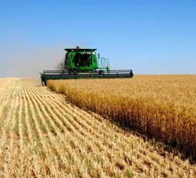 Импортозамещение семян в России зависит от Госсорткомиссии и ВШЭ?
