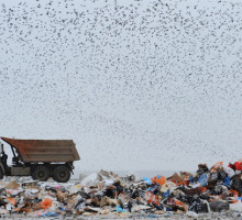 Волонтёры вывезли с берегов Байкала 42 "КамАЗа" мусора