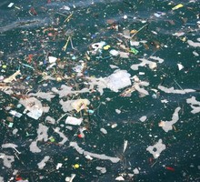 Пластиковый мусор начал вредить природе раньше, чем предполагалось