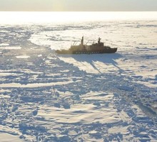 Экспедиция «Арктика-2012» привела к важным научным открытиям