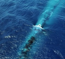 Проект «Лада» станет будущим российского подводного флота