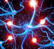 Как рождаются мысли или нейрон в действии