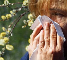 В России начался сезон аллергий