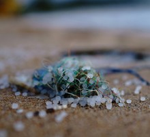 В Перми обучили нейросеть находить микропластик в песке
