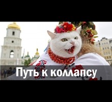 Путь к коллапсу