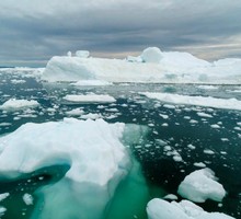 Арктические водоросли научились осуществлять фотосинтез в полной темноте