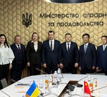 Зачем Китаю нужен украинский горох?