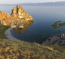 Модифицированные растения могут очищать загрязненную взрывами почву