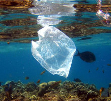Что можно сделать из переработанного пластика?