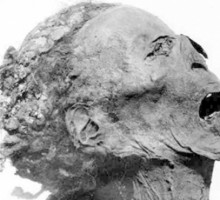 На Алтае найдены останки человека, жившего 50 тыс. лет назад