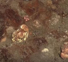 Ученые нашли в Сибири пряжку с драконом эпохи раннего железа