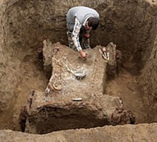 Бусинку из скорлупы вымершего страуса откопали новосибирские археологи