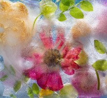 Биологи озадачены массовой гибелью китов у побережья Аляски