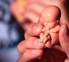 Как стать русскими