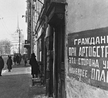 Последствия Первой мировой войны для экологии