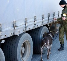 В «Газпроме» рассказали о новом маршруте «Южного потока» через Крым