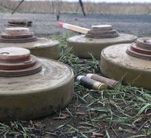 Турция вывезла свой золотой запас из США