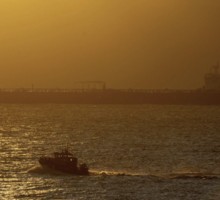 Кто написал сценарий текущих событий?