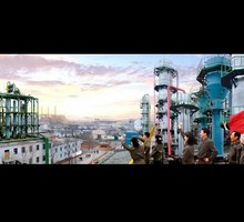 Преступников идентифицируют по крови, выпитой комарами