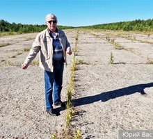 Проблемы западного здравоохранения