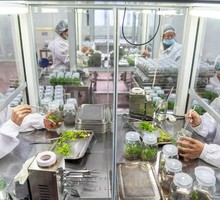 Китай зарабатывает триллионы на лекарствах Китай зарабатывает триллионы на лекарствах