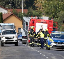Мир на пути к зомби и "Планете обезьян"