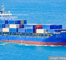 Идиоты есть и в Германии