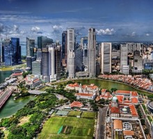 Волков вместо Навального