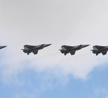 Поголовная чипизация в Италии начинается с 2016 года. Противникам - штраф и тюремное заключение