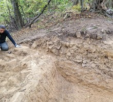 «Оставьте: это спор славян между собою…»