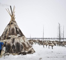 Украинские партизаны: миф или реальность?